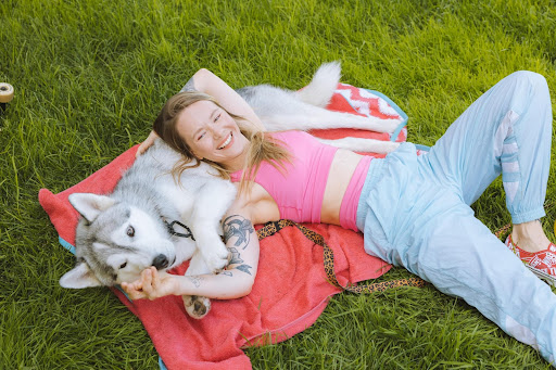 Dog blog 2